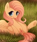  2016 anus equine eyelashes feathered_wings feathers female feral fluttershy_(mlp) friendship_is_magic grass hair hi_res long_hair looking_at_viewer mammal momomistress my_little_pony open_mouth pegasus pink_hair pussy solo spread_legs spreading teal_eyes underhoof wings yellow_feathers 