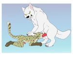  canine duo erection feline fellatio fur gothicsiamese growling kita lynx male male/male mammal oral penis sex spots were werewolf white_fur 