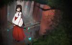  black_hair blue_eyes bridal_gauntlets bug butterfly caang_yue_xue_feeng forest hakama highres holding holding_sword holding_weapon insect japanese_clothes katana kimono long_hair miko nature original outdoors red_hakama sheath sheathed solo sword weapon white_kimono 
