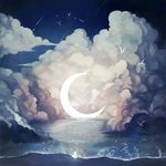  animal bird cloud crescent_moon dress moon night night_sky original seagull shooting_star shore silhouette sky star_(sky) starry_sky tofuvi water 