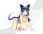  all_fours animal_ears barefoot bikini blue_hair blush breasts cat_ears cleavage copyright_request fish full_body large_breasts long_hair mouth_hold red_eyes sikorsky solo swimsuit tail transparent_background 