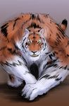  anthro feline male mammal penis rwolf solo tiger weretiger 