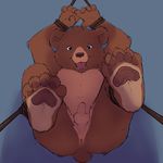  balls bear bound cobaltsynapse cub little_bear little_bear_(character) male mammal penis solo young 