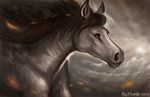  2016 ambiguous_gender black_hair brown_eyes day equine feral flashw fur grey_fur hair horse mammal nude outside overcast sky solo 