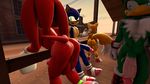  2016 3d_(artwork) anthro anus avian balls bird butt canine darksorm digital_media_(artwork) echidna erection flaccid fox group hawk hedgehog jet_the_hawk knuckles_the_echidna male mammal miles_prower monotreme nude penis sonic_(series) sonic_riders sonic_the_hedgehog 