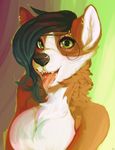  2016 anthro black_hair black_nose breasts brown_fur bust_portrait canine chest_tuft corgi dog drooling ear_piercing eyebrow_piercing eyelashes facial_piercing fangs featureless_breasts female fur green_eyes hair looking_at_viewer lucca_the_corgi mammal multicolored_fur open_mouth piercing portrait saliva simple_background solo teeth teil tongue tongue_out tongue_piercing tuft two_tone_fur white_fur 