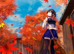 autumn_leaves black_legwear brown_eyes brown_hair cloud cloudy_sky day fence hakama japanese_clothes kaga_(kantai_collection) kantai_collection konkito leaf looking_up maple_leaf maple_tree miniskirt muneate outdoors side_ponytail skirt sky solo thighhighs tree wooden_fence 