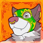  2016 anthro canine digital_media_(artwork) dwalker ear_piercing facial_piercing fangs front_view fur grey_eyes grey_fur headshot_portrait hi_res icon looking_at_viewer male mammal mask mexican multicolored_fur nose_piercing nose_ring orange_background piercing pink_nose portrait septum_piercing signature simple_background smile solo two_tone_fur white_fur wolf 