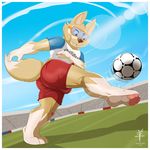  aaron_(artist) action_pose ball barefoot border bulge canine clothing dog eyewear goggles kick low-angle_view male mammal open_mouth outside pawpads sharp_teeth shirt shorts signature smile soccer_ball solo stadium t-shirt teeth tight-clothing zabivaka 