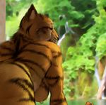  2016 anthro black_fur breasts brown_fur feline female fur hattonslayden mammal nipples nude outside rear_view solo stripes tiger 