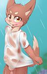  5_fingers blush bottomless brown_eyes brown_fur canine clothed clothing cub dog erection fur humanoid_penis mammal open_mouth partially_retracted_foreskin penis raining shirt t-shirt uncut wet_clothing young まだー１０ 