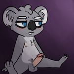  2016 alternate_version_available anthro balls blue_eyes blush chest_tuft clancy_(inkyfrog) erection gradient_background humanoid_penis inkyfrog koala male mammal marsupial nipples nude penis purple_background simple_background sitting solo tuft 