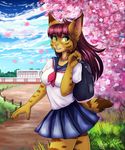  2016 5_fingers anthro cherry_blossom clothed clothing day detailed_background eyelashes feline female fur green_eyes hair inner_ear_fluff ketty-leopardess long_hair lynx mammal outside plant purple_hair school_uniform sky smile solo uniform wide_hips 