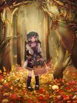  autumn_leaves bad_id bad_pixiv_id basket fire_emblem fire_emblem_if forest green_hair herb lijupy medicine_box midoriko_(fire_emblem_if) nature solo stone tree twintails 