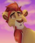  2016 disney itoruna kion mammal the_lion_king 