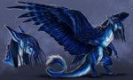  anthro blue_eyes blue_feathers blue_fur claws digital_media_(artwork) dragon feathered_dragon feathered_wings feathers female fur furred_dragon isvoc simple_background solo standing wings 