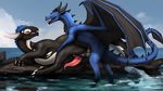  2016 absurd_res anal anal_penetration animal_genitalia animal_penis anus black_penis black_skin blue_eyes blue_hair blue_scales blue_skin cetacean cetacean_penis claws cloud digital_media_(artwork) dradmon dragon dragorca duo erection eye_contact feral feral_on_feral genital_slit hair hi_res horn hybrid interspecies invalid_tag kaeku_(character) leg_glider_position looking_back lying male male/male male_penetrating mammal mane marine membranous_wings on_side open_mouth orca outside penetration penis pink_penis raised_leg ridged_penis rock scales scalie sea sex side_view sky slit spikes syrazor tapering_penis tongue tongue_out water western_dragon whale white_skin wings 