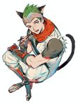  animal_ears cat_ears cat_tail chopsticks extra_ears forehead_protector genji_(overwatch) green_hair japanese_clothes kemonomimi_mode male_focus muyihui overwatch scarf solo tail young_genji 