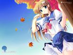  autumn_leaves blue_eyes hatano_konami highres long_hair school_uniform solo tree underbar_summer 
