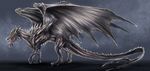  claws digital_media_(artwork) dragon feral grey_scales isvoc male membranous_wings nude open_mouth scales scalie silver_scales simple_background solo spines teeth western_dragon wings 