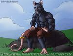  anthro clothed clothing cybercat looking_at_viewer male mammal muscular outside rat rodent sitting smile solo 