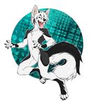  2016 anthro black_fur blue_eyes canine dagger_leonelli dog fur grey_fur hair husky male mammal nude smile solo tongue tongue_out white_fur white_hair 