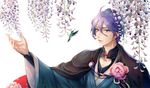  ahoge animal bird blue_eyes cape flower hair_between_eyes hummingbird japanese_clothes kasen_kanesada long_sleeves looking_at_viewer male_focus outstretched_arm palms parted_lips petals purple_hair reaching red_ribbon ribbon rowya smile touken_ranbu upper_body white_background wide_sleeves wisteria 