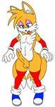  anthro balls canine clothed clothing crossdressing erection exwolf85 eyeshadow flat_colors fox girly hi_res lipstick makeup male mammal miles_prower penis skimpy solo sonic_(series) 