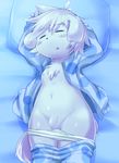  anthro balls bed blush canine chest_tuft child clothed clothing cub dog eyes_closed flaccid fur hi_res humanoid_penis lying male mammal navel nipples on_back on_bed open_mouth open_shirt pajamas panashe pants_down partially_clothed penis pillow raised_arm sleeping solo summon_night tuft uncensored uncut underwear underwear_down white_fur young とろろうどん 