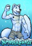  arctic_fox armpits canine clothed clothing fox male mammal shorts smile snow snowball solo topless tsaiwolf twink winter xanderfrost 