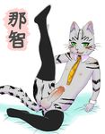  anthro balls blush cat clothed clothing feline green_eyes humanoid_penis legwear male mammal mostly_nude nachi_(nyan_communication) necktie nyan_communication open_mouth penis simple_background smile solo spread_legs spreading stockings white_background wycicus 