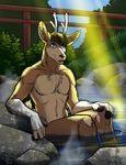  anthro antlers cervine cybercat deer fur hair horn looking_at_viewer male mammal nude outside ralloonx sitting smile solo 