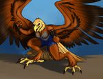  anthro avian beak bird clothed clothing cybercat eagle feathered_wings feathers female fingerless_gloves gloves looking_at_viewer solo standing wings 
