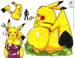  big_breasts big_butt black_fur breasts brown_fur butt clothing dress ear_piercing eyelashes feet female fingers fur grass invalid_tag lips lipsstick looking_at_viewer nintendo piercing pikachu pok&eacute;mon ribbons signature size_differences smile underwear video_games walter_sache yellow_fur 