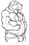  2013 anthro belly biceps big_belly bigmaster black_and_white bulge canine clothed clothing digital_media_(artwork) dog facial_piercing floppy_ears hi_res hom.nom.nom jockstrap lip_piercing lip_ring looking_at_viewer male mammal monochrome muscular muscular_male navel nevarrio overweight overweight_male pecs piercing portrait rottweiler simple_background solo three-quarter_portrait topless underwear white_background 