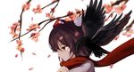  animal animal_on_shoulder bird bird_on_shoulder black_hair black_wings branch cherry_blossoms crow hat highres looking_afar petals pom_pom_(clothes) red_eyes red_scarf scarf shameimaru_aya shirt short_hair simple_background solo tengu tokin_hat touhou tree_branch upper_body white_shirt wings yongzhe_mei_hong 