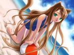  animal_ears artist_request ball barefoot beach beachball brown_hair day game_cg green_eyes long_hair one-piece_swimsuit solo sukumizu_2 swimsuit tail very_long_hair 