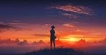  agnidevi cloud from_behind grass highres original scenery short_hair silhouette skirt sky solo standing sun sunset twilight wind 