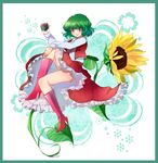  ascot bad_id bad_pixiv_id banned_artist blush boots flower gift green_hair high_heels holding holding_gift kazami_yuuka knee_boots legs plaid plaid_skirt plaid_vest poko_(mammypoko) red_eyes shoes short_hair skirt skirt_set smile solo sunflower touhou vest 