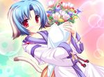  animal_ears blue_hair flowers haruhi_sarasa inakoi red_eyes tagme tail 