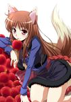  animal_ears apple brown_hair food fruit holo izumi_mahiru long_hair mouth_hold red_eyes solo spice_and_wolf tail wolf_ears 