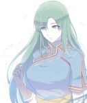  1girl blush dress fire_emblem fire_emblem:_rekka_no_ken gloves green_eyes green_hair hair_down high_ponytail kazame long_hair lyndis_(fire_emblem) nintendo simple_background solo very_long_hair 