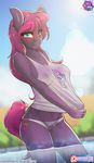  2016 anthro blush clothed clothing cutie_mark darkhazard earth_pony equine fan_character female hair hi_res horse long_hair looking_at_viewer mammal my_little_pony nipple_bulge outside patreon pony solo water wet 