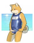  5_fingers anthro balls blush brown_eyes brown_nose bulge canine clothed clothing crossdressing dog erection fur humanoid_penis jeck male mammal open_mouth partially_retracted_foreskin penis shiba_inu simple_background solo standing swimsuit tan_fur uncut 