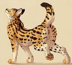  2016 anus black_fur blue_eyes brown_background brown_fur butt feline female feral fur looking_at_viewer mammal marjani nude pawpads pussy raised_leg raised_tail serval simple_background smile solo spots white_fur 