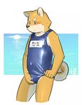  5_fingers anthro blush brown_eyes brown_nose bulge canine clothed clothing crossdressing dog fur jeck male mammal shiba_inu simple_background solo standing swimsuit tan_fur 