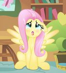  blue_eyes book bookshelf cum ears_down equine eyelashes feral fluttershy_(mlp) friendship_is_magic mammal my_little_pony open_mouth pegasus photo rainbownspeedash sitting sofa solo tongue tongue_out wings 
