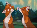  canine disney female feral flower fox fox_and_the_hound jasmiijn male mammal plant smelling sniffing tod vixey 