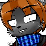  anthro canine clothed clothing datfurrydude hair headshot_portrait hoodie icon mammal orange_hair portrait scarf simple_background slit_pupils smile solo white_background wolf 