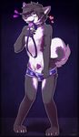  &lt;3 4_fingers 4_toes animal_genitalia animal_penis balls black_fur black_hair blush boxers_(clothing) canine canine_penis clothing collar dog eyewear fur glasses hair husky leash looking_at_viewer male mammal navel penis purple_eyes purple_fur purple_nose purple_penis simple_background solo standing toes underwear undressing yuniwolfsky 